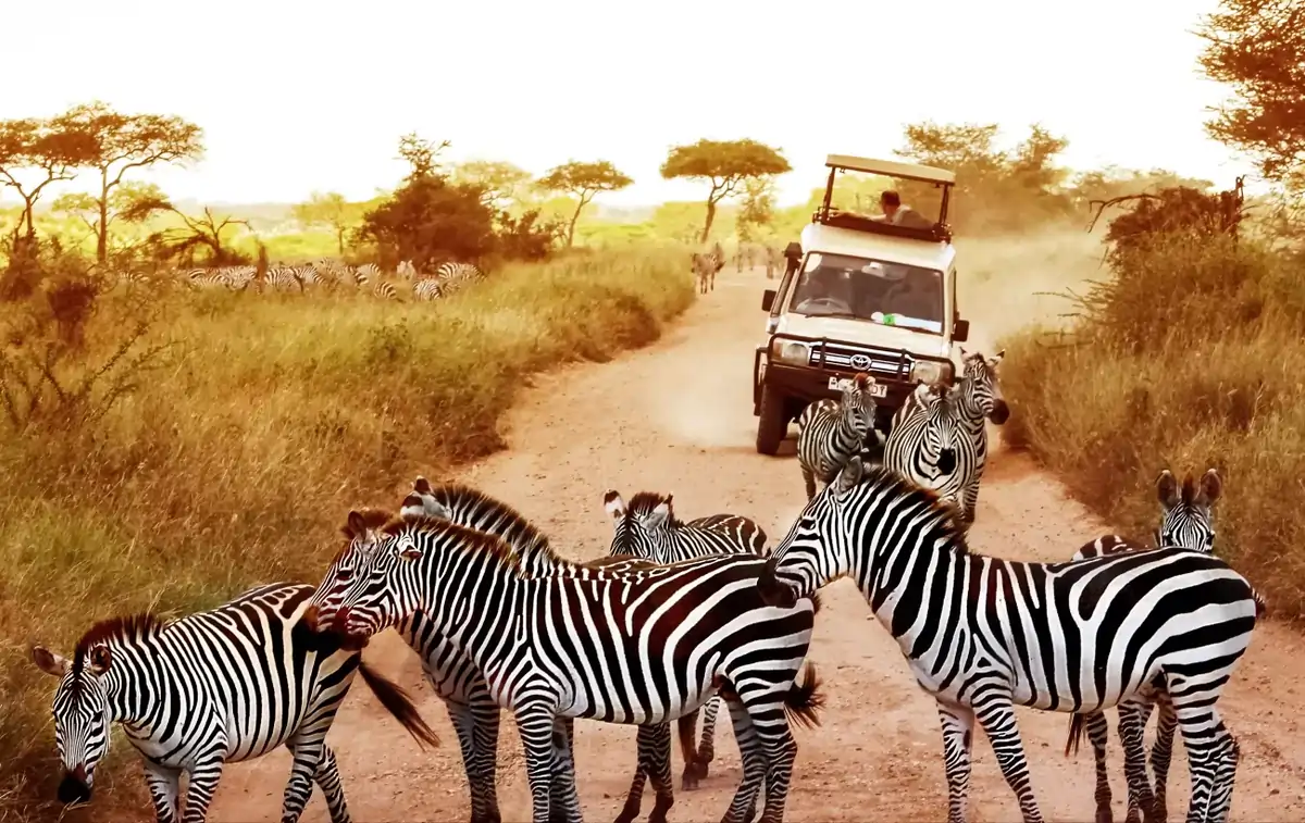 Serengeti National Park