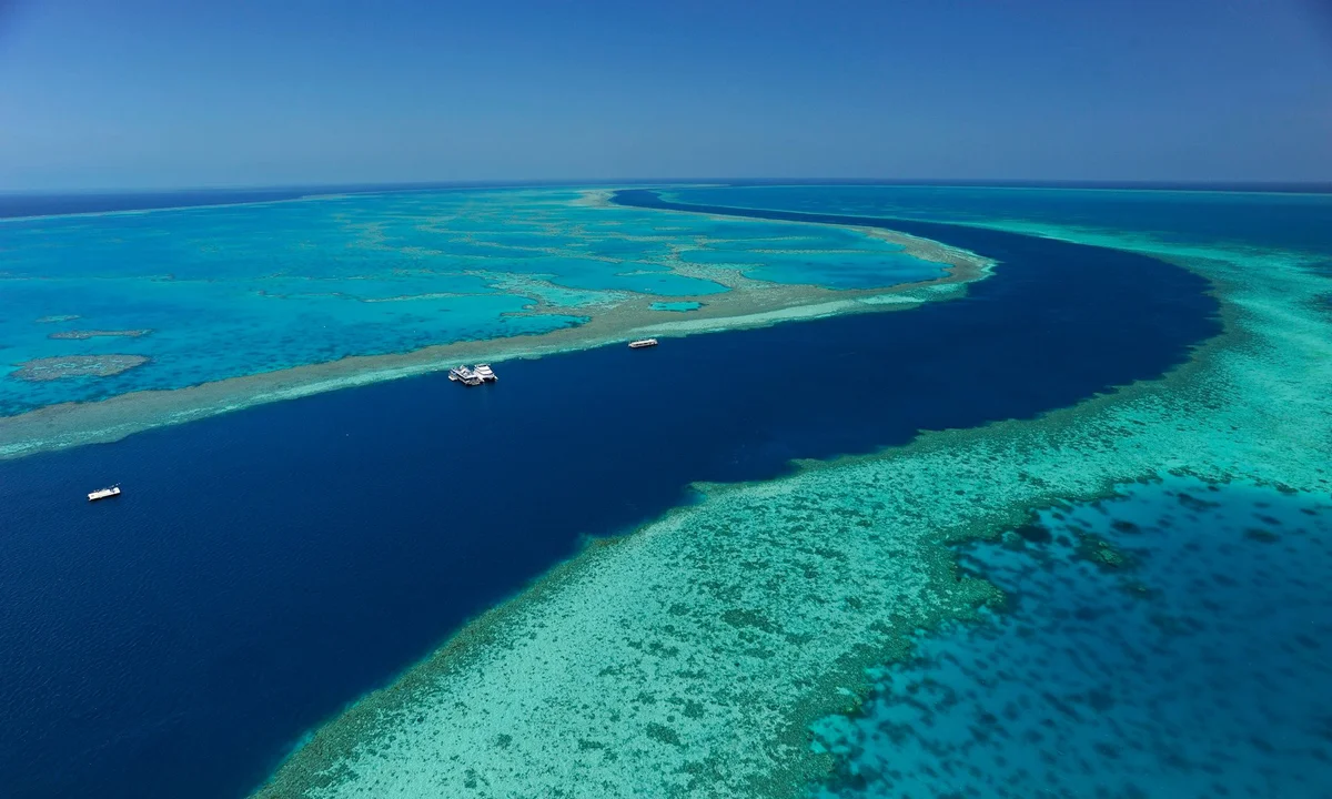 Great Barrier Reef, Queensland: Surga Bawah Laut Terbesar di Dunia