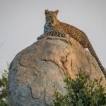 Kruger National Park