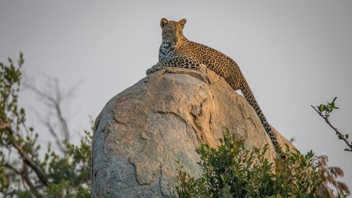 Kruger National Park