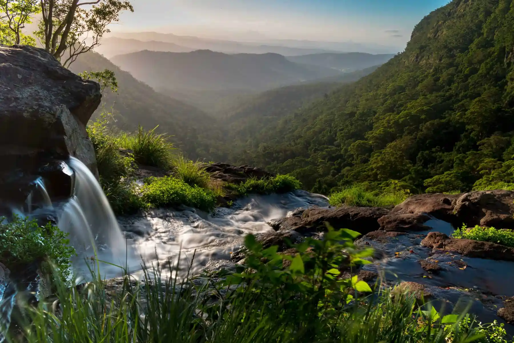 Gold Coast Hinterland: Keindahan Alam dan Pesona Wisata Queensland