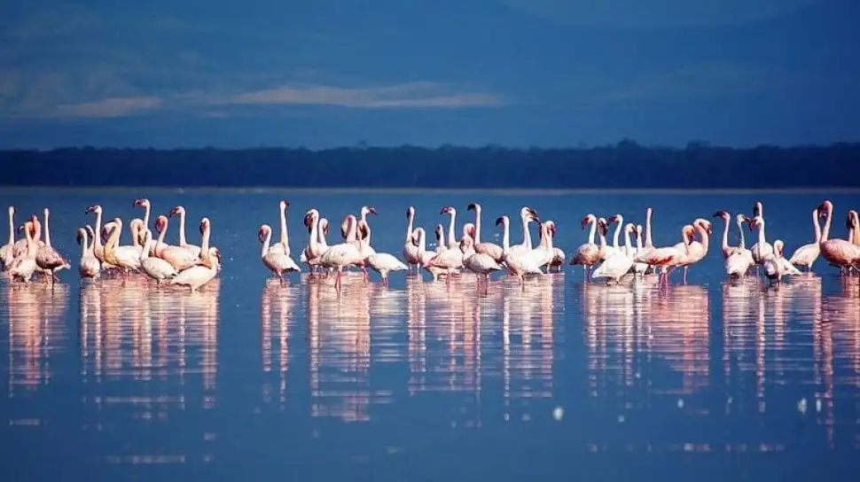 Wisata di Kenya