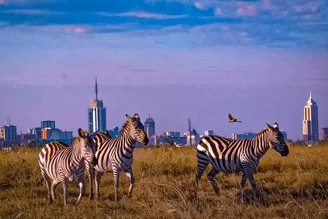 Wisata di Kenya