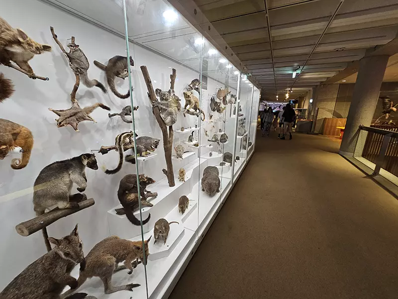 Museum di Australia