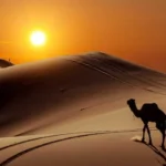 Eksplorasi Epik Gurun Sahara